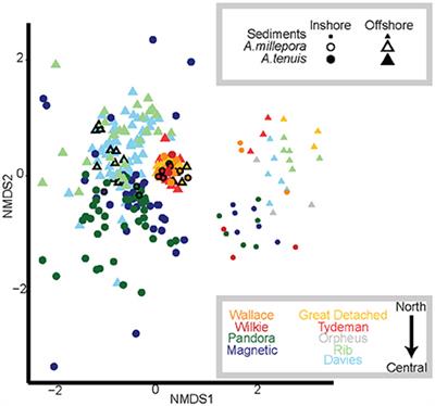 Temperature and Water Quality-Related Patterns in Sediment-Associated Symbiodinium Communities Impact Symbiont Uptake and Fitness of Juveniles in the Genus Acropora